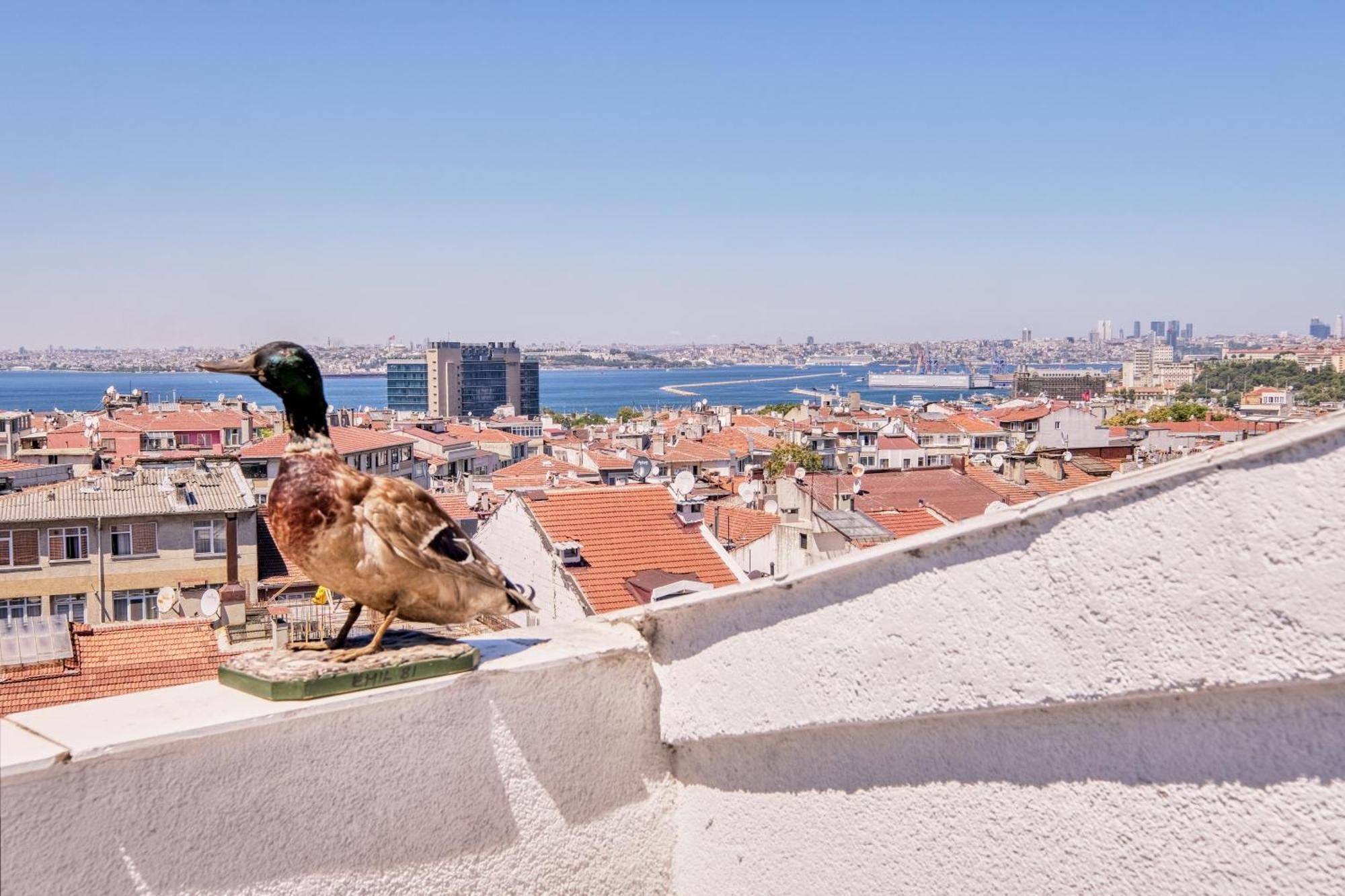 Duck Otel Стамбул Екстер'єр фото